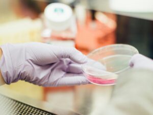 Women's Contributions to Science and Technology You Didn't Know About