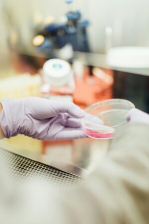 Women's Contributions to Science and Technology You Didn't Know About