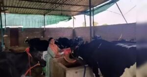 From Humble Beginnings to Financial Freedom: The Inspiring Journey of Vinita, a Lakhpati Didi from Rural Uttar Pradesh