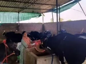 From Humble Beginnings to Financial Freedom: The Inspiring Journey of Vinita, a Lakhpati Didi from Rural Uttar Pradesh