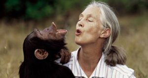 Whispers from Gombe: A Quiet Farewell to Jane Goodall