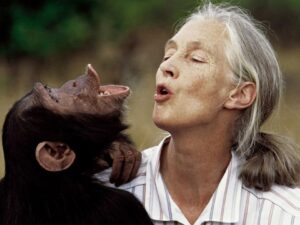 Whispers from Gombe: A Quiet Farewell to Jane Goodall